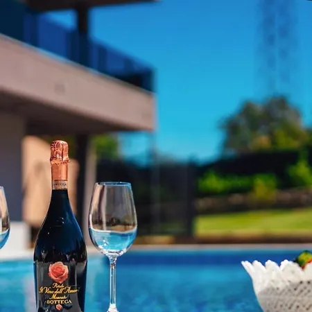 Villa Viktoria With Private Pool, Barbecue, Gym, Children's Playground